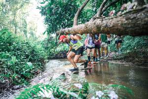 BIB: 
                            <button type="button" onclick="openModal(25462422)" class="btn btn-primary btn-sm float-right btn-popup" data-toggle="modal" data-target=".modal-high-quality">
                        <i class="fas fa-shopping-cart"></i> Add to Cart
                    </button>
                                            <button type="button" onclick="isThisMe(25462422, true)" class="btn btn-success btn-sm float-right btn-popup btn-isme hidden" data-toggle="tooltip" data-placement="bottom" title="นี่คือรูปของคุณใช่ไหม คลิกที่นี่เพื่อเอาเข้าอัลบั้ม">
                        <i class="fas fa-plus"></i> Add to album
                    </button>
                    <button type="button" onclick="isThisMe(25462422, false)" class="btn btn-warning btn-sm float-right btn-popup btn-isnotme hidden">
                        <i class="fas fa-ban"></i> Remove from album
                    </button>